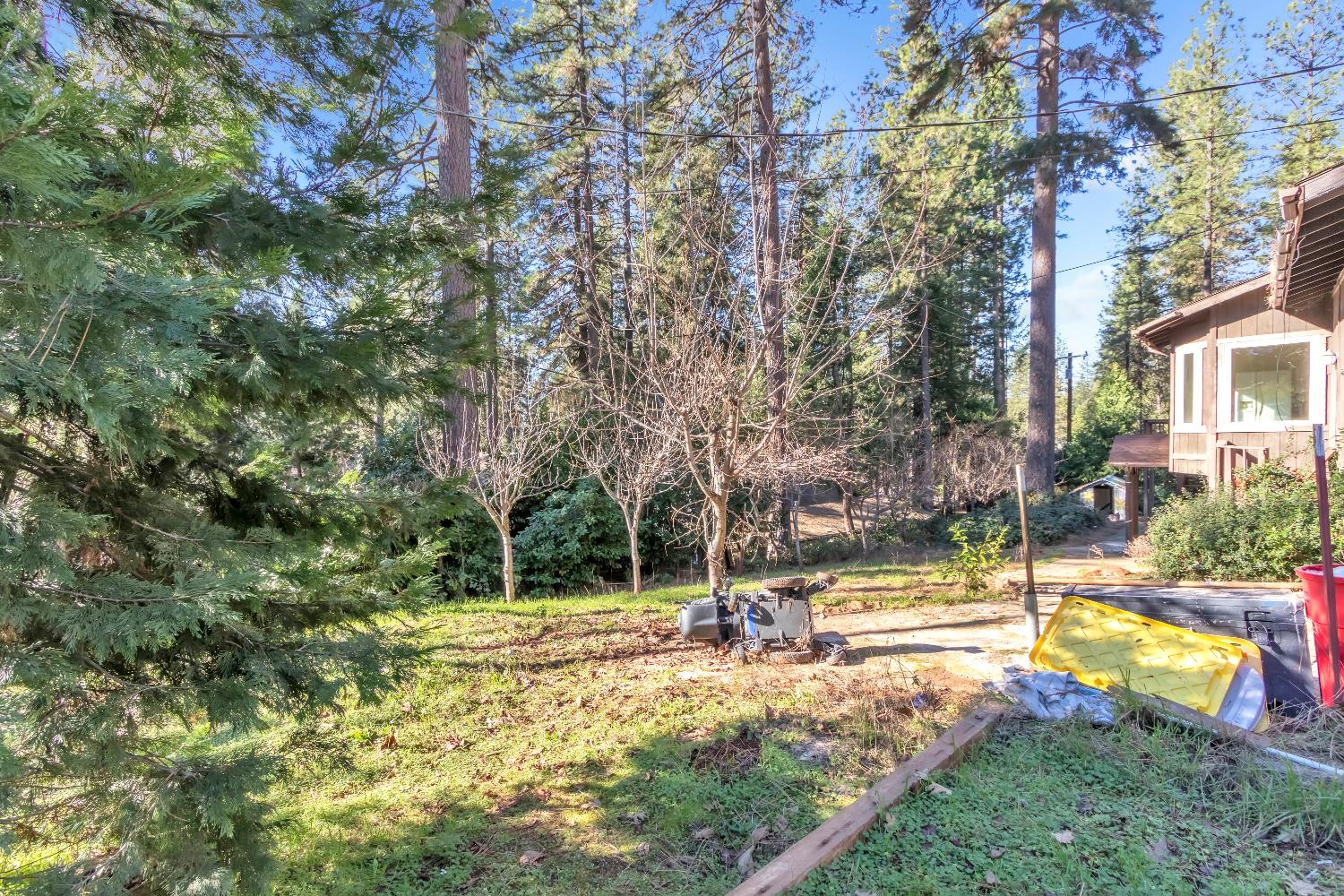 11551 Tree Top Circle