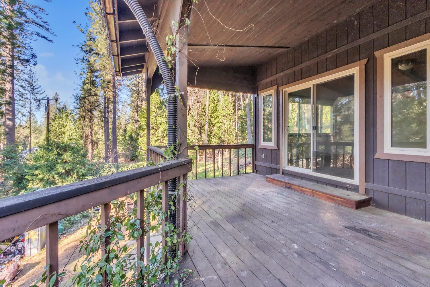 11551 Tree Top Circle
