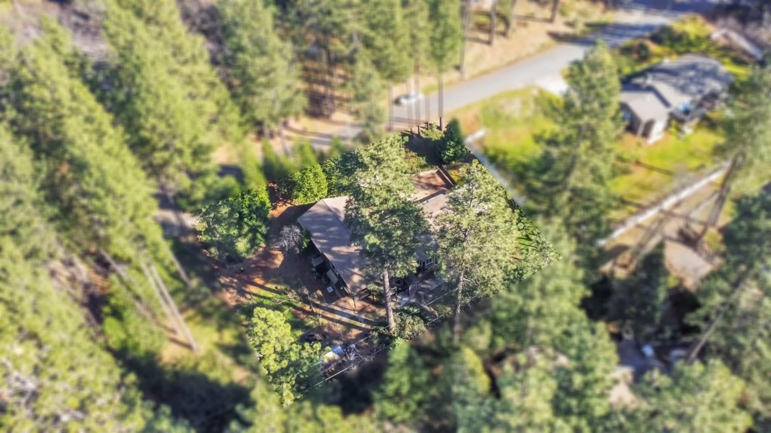 11551 Tree Top Circle
