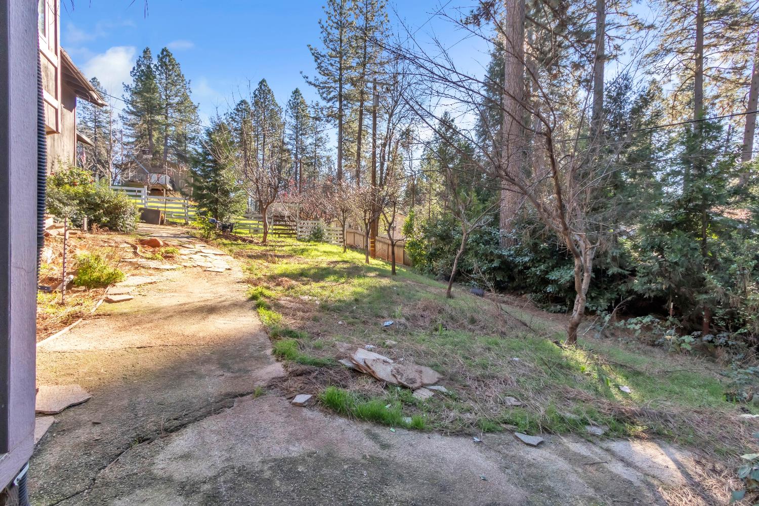 11551 Tree Top Circle