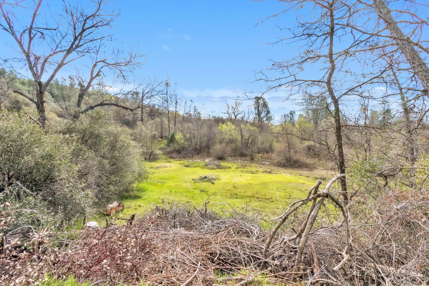 10121 Valley Drive