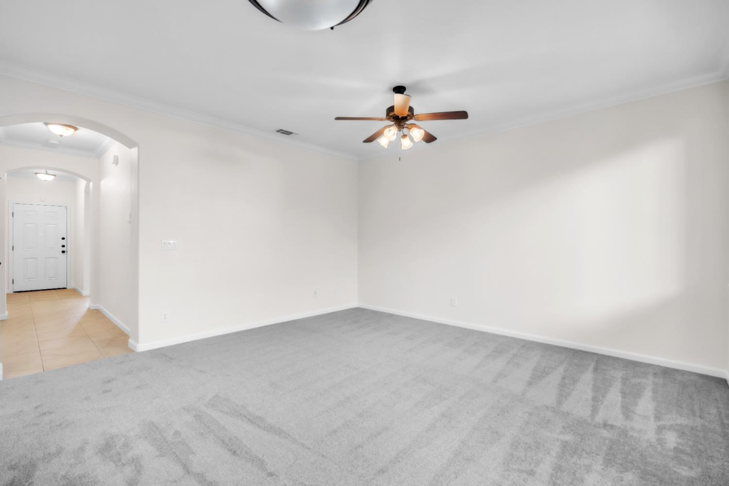 1650 Grey Bunny Drive