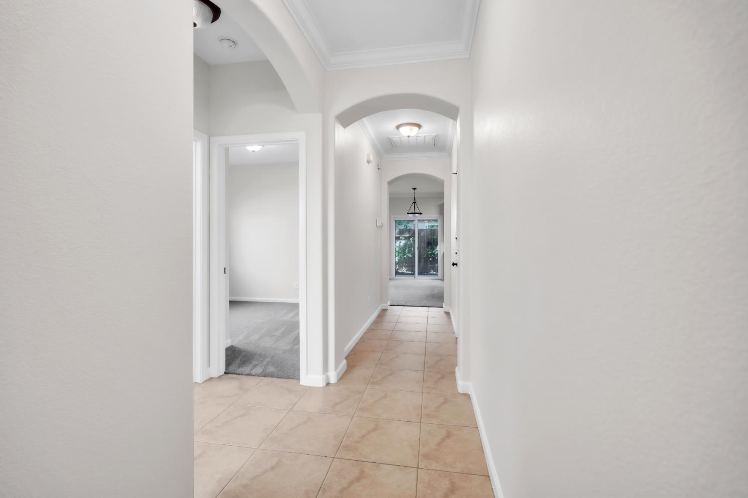 1650 Grey Bunny Drive