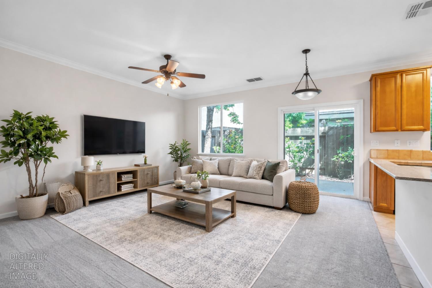 1650 Grey Bunny Drive