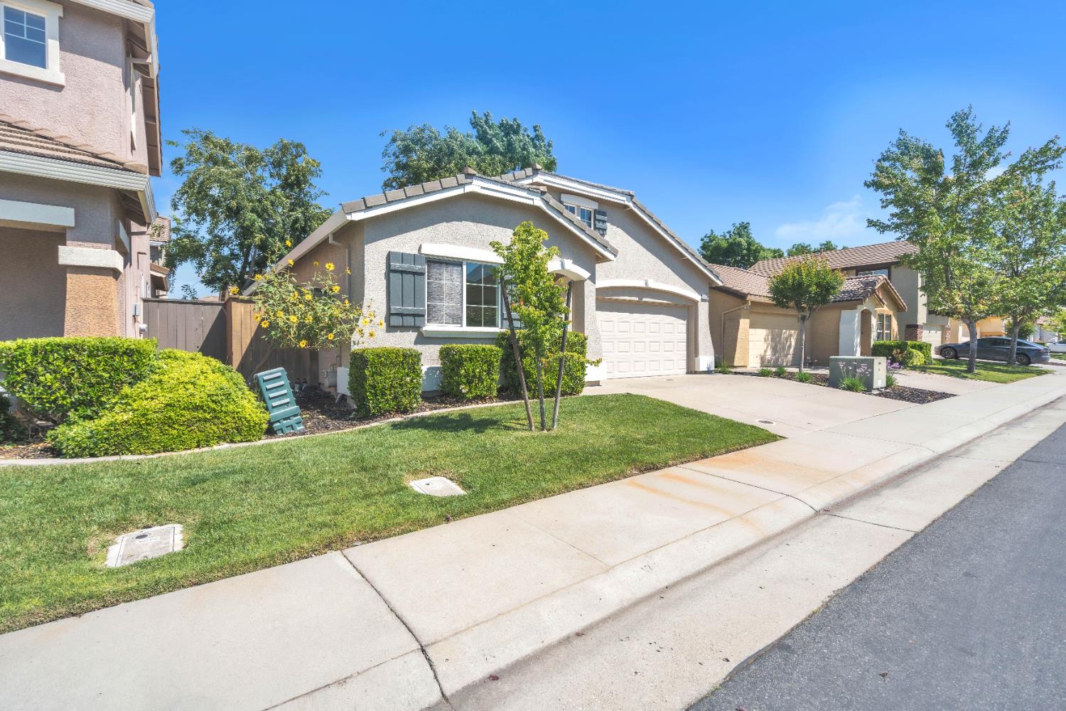 1650 Grey Bunny Drive