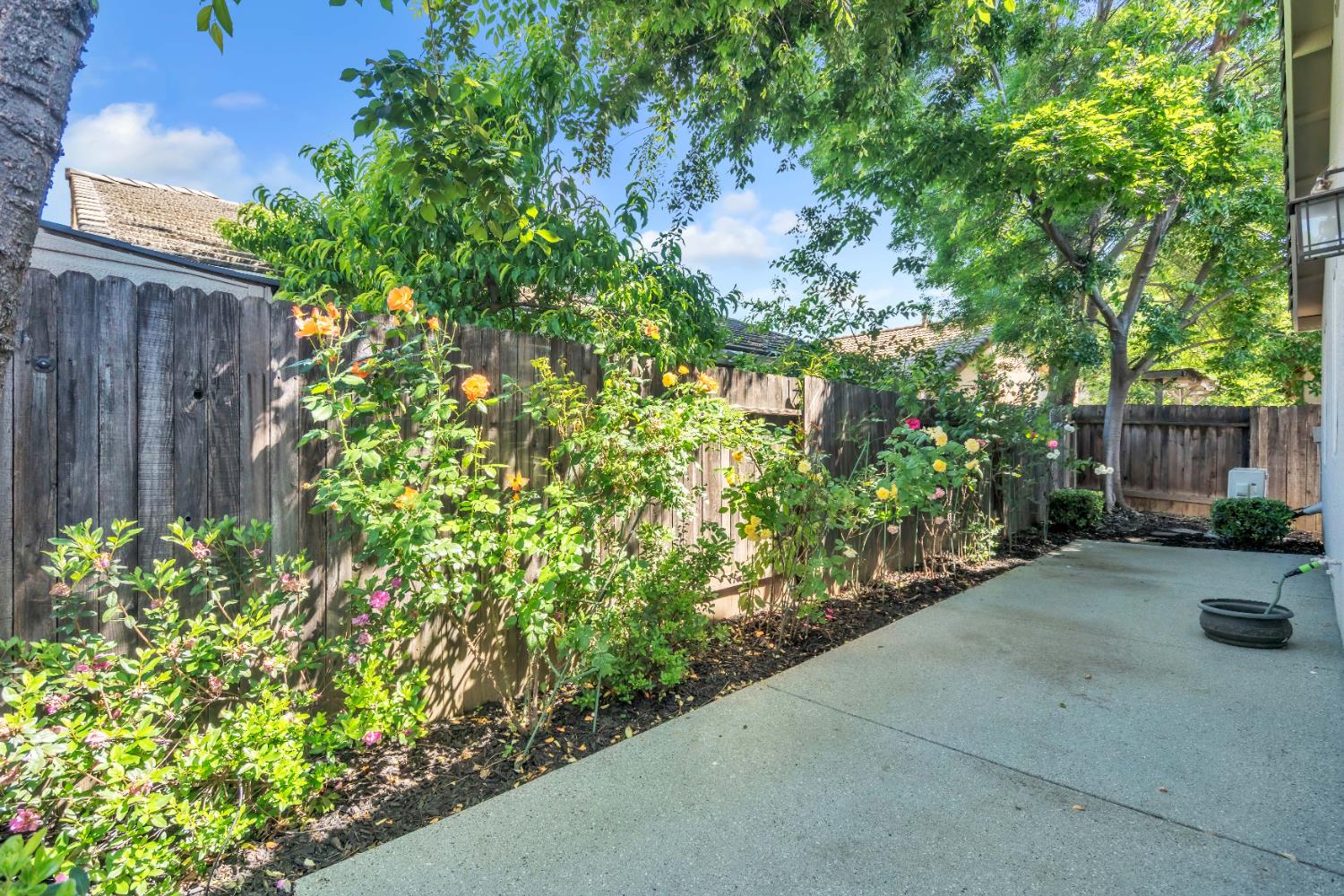 1650 Grey Bunny Drive