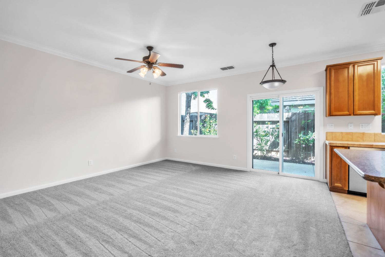 1650 Grey Bunny Drive