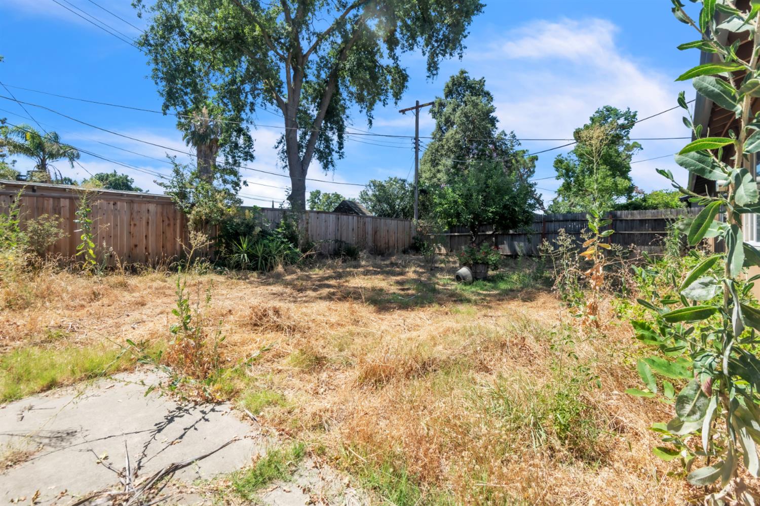8248 Lichen Drive
