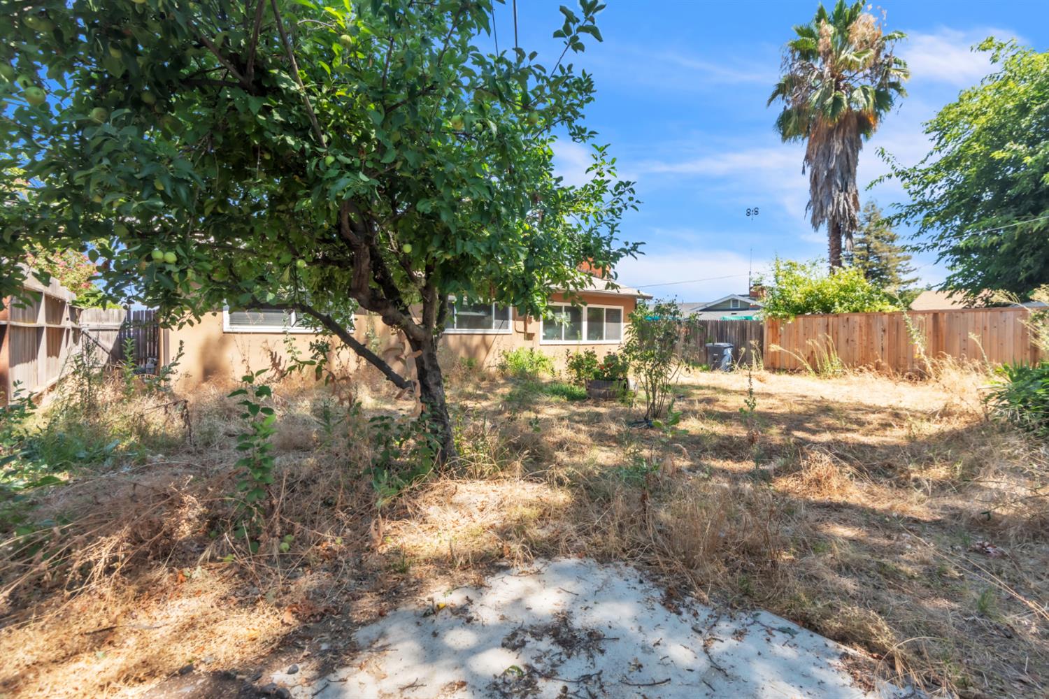8248 Lichen Drive