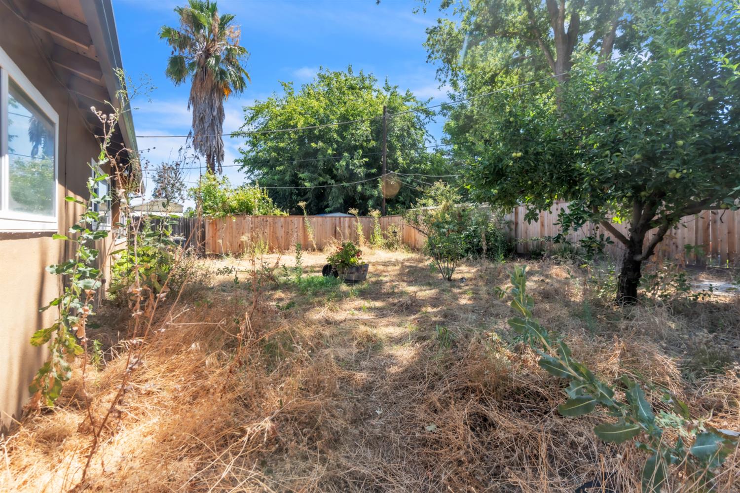 8248 Lichen Drive