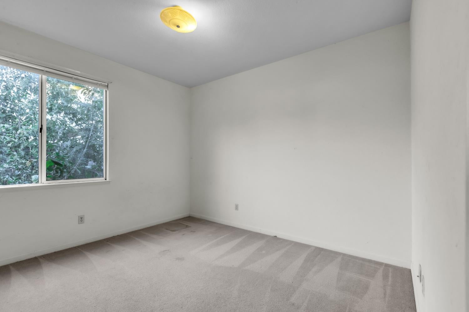 1531 Jamie Drive
