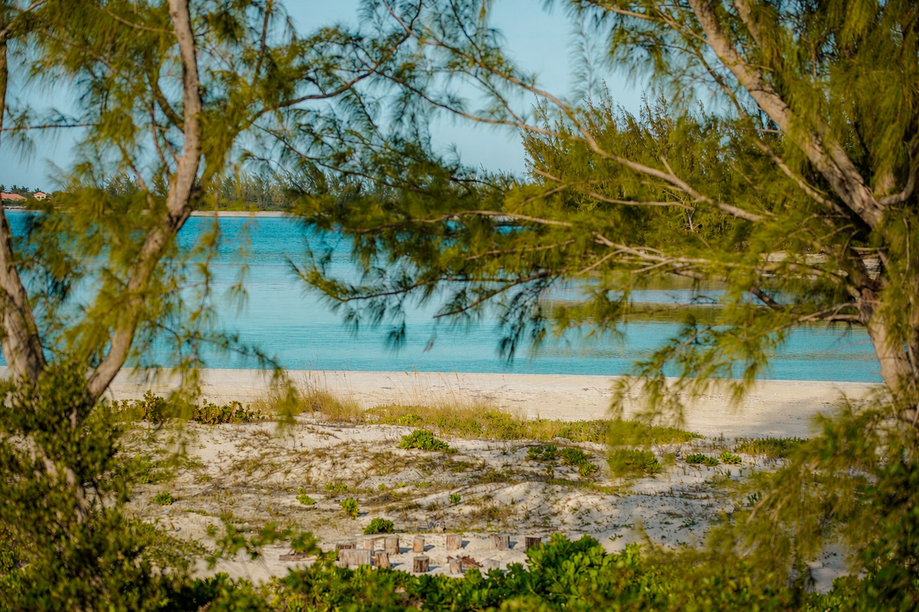 The Lodge, Beachfront