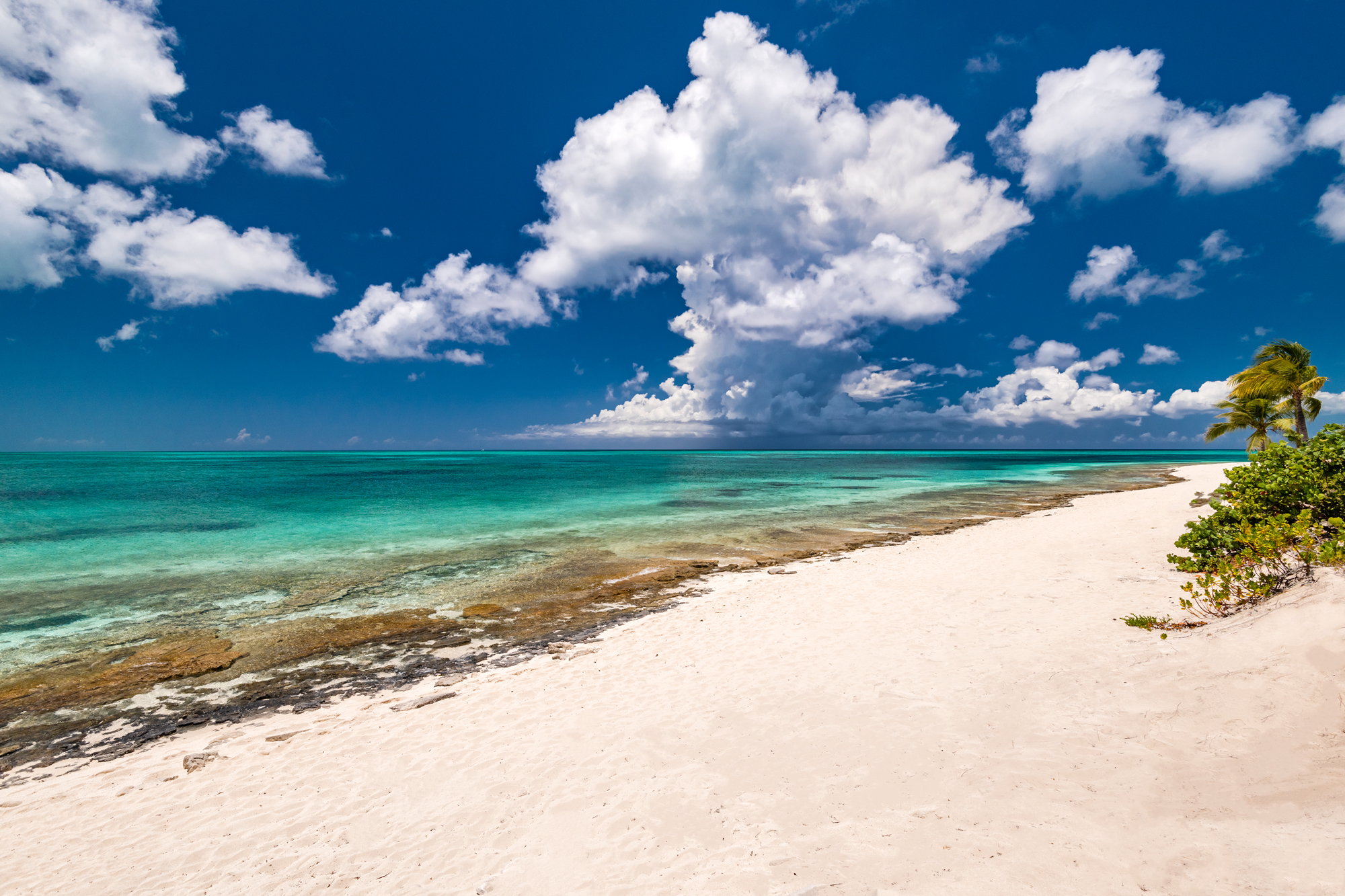 Beachfront 88 Coconut Road