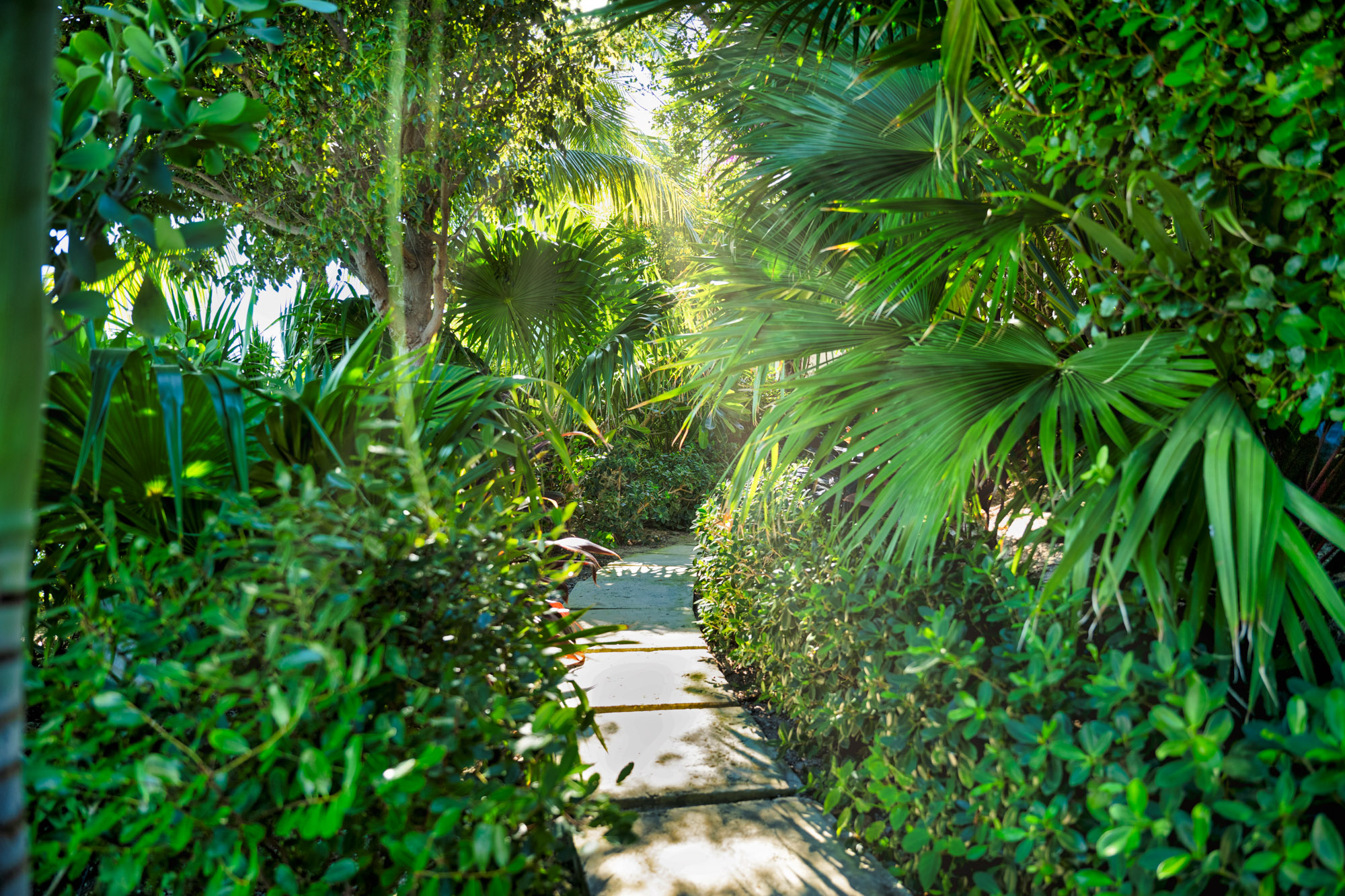 Blue Cay Estate 2