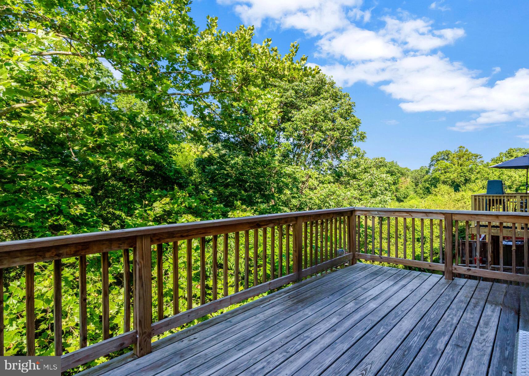 9594 BUTTONBUSH COURT