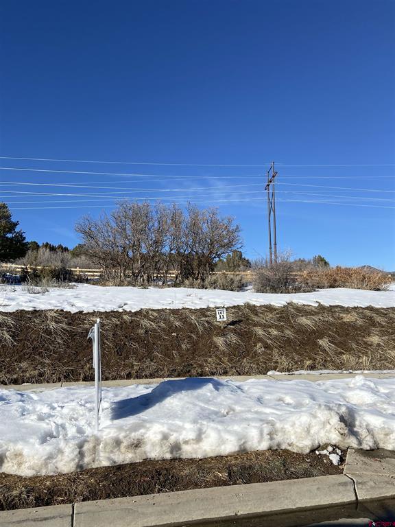 95 Salt Brush Street