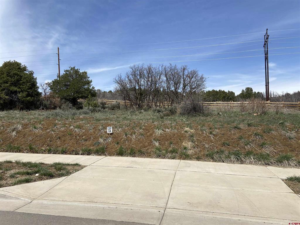 95 Salt Brush Street