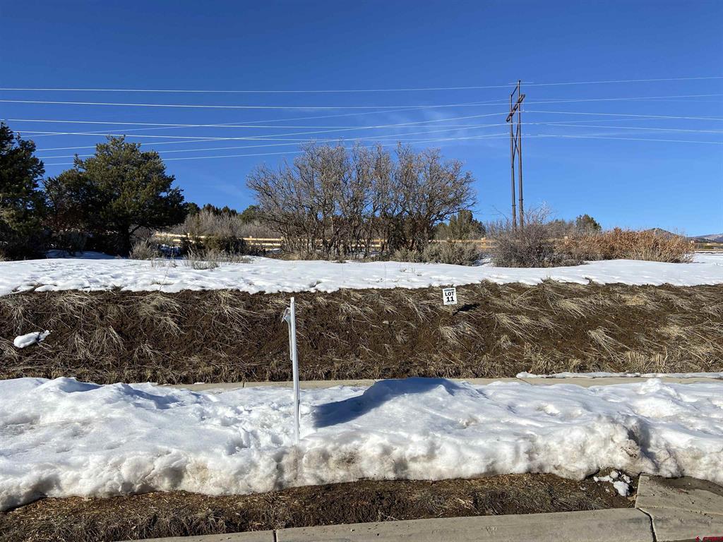 95 Salt Brush Street