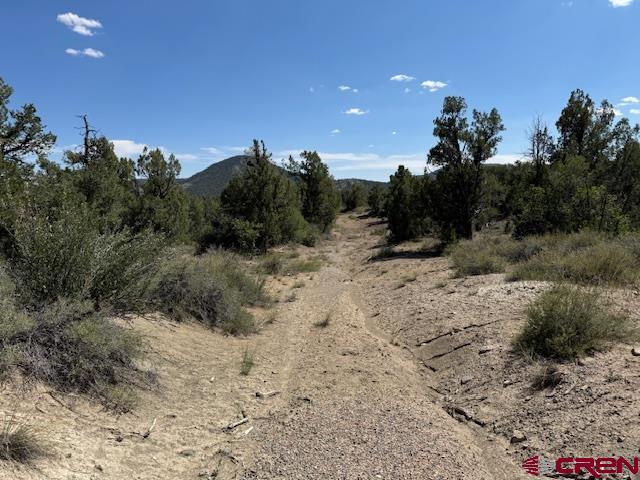 2519 Green Shadows Road