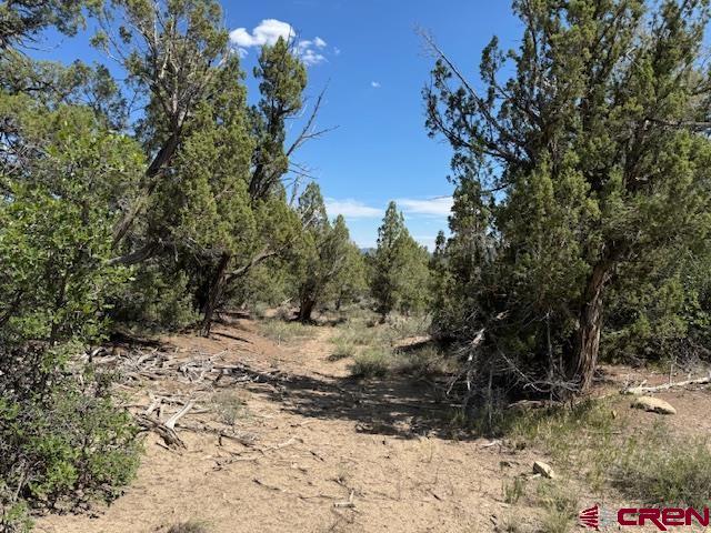 2519 Green Shadows Road