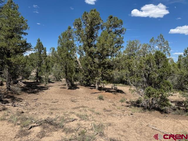 2519 Green Shadows Road