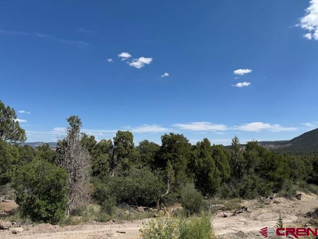 2519 Green Shadows Road