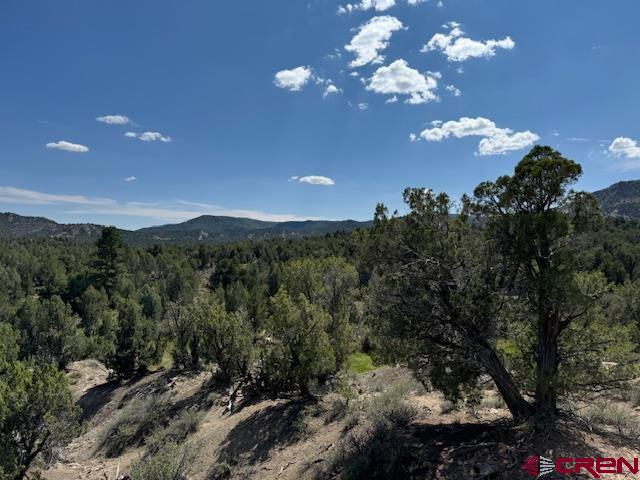 2519 Green Shadows Road