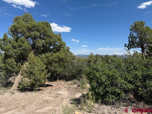 2519 Green Shadows Road
