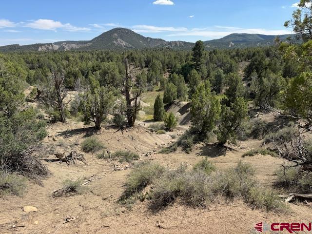 2519 Green Shadows Road