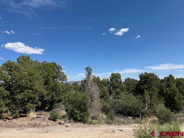 2519 Green Shadows Road