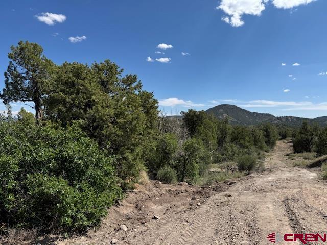 2519 Green Shadows Road