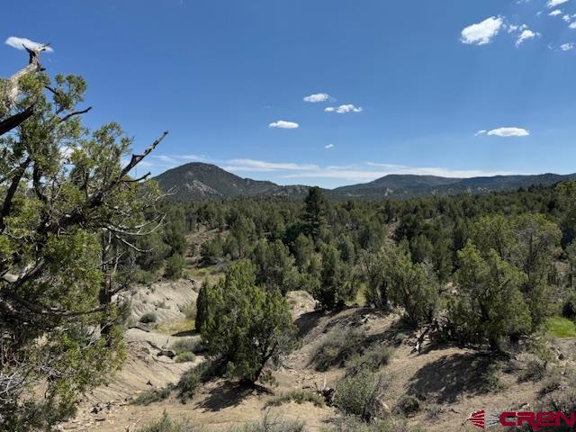 2519 Green Shadows Road