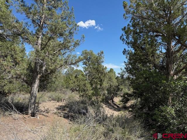 2519 Green Shadows Road