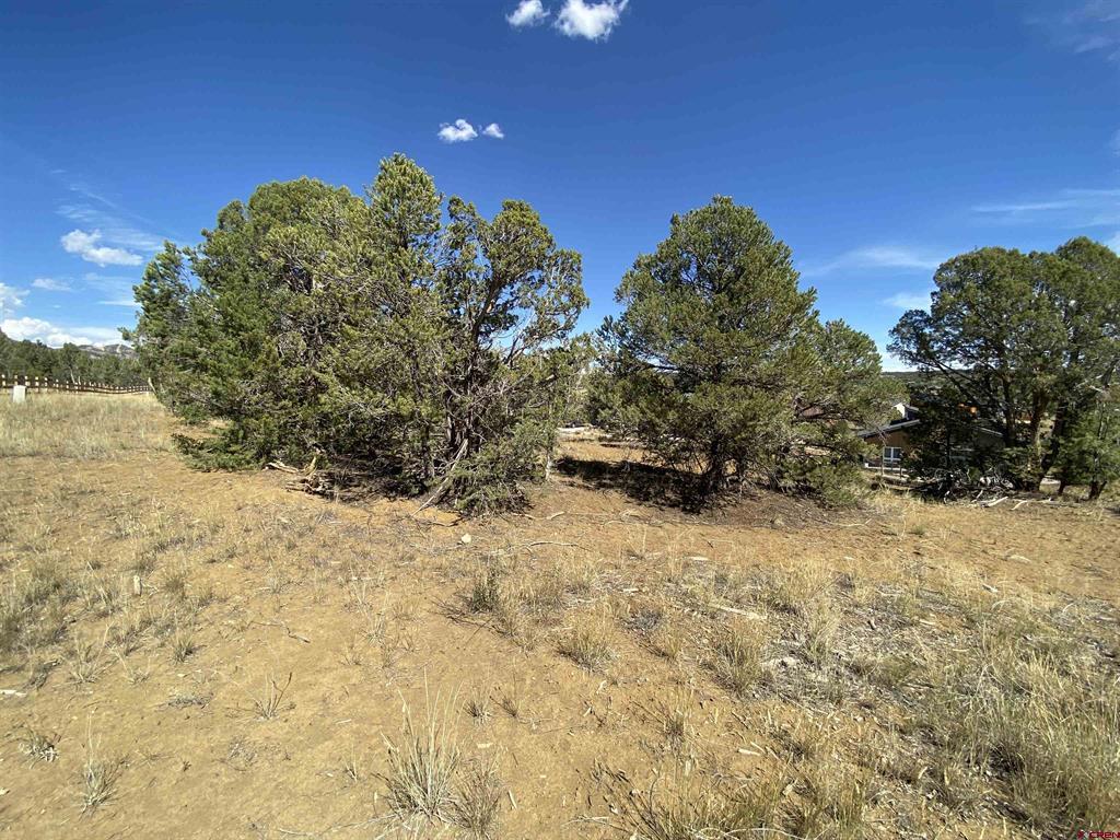 15 Salt Brush Street