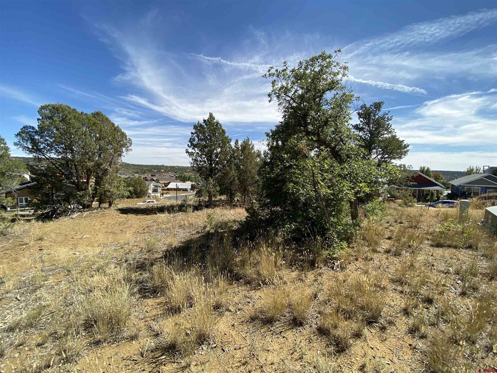 15 Salt Brush Street