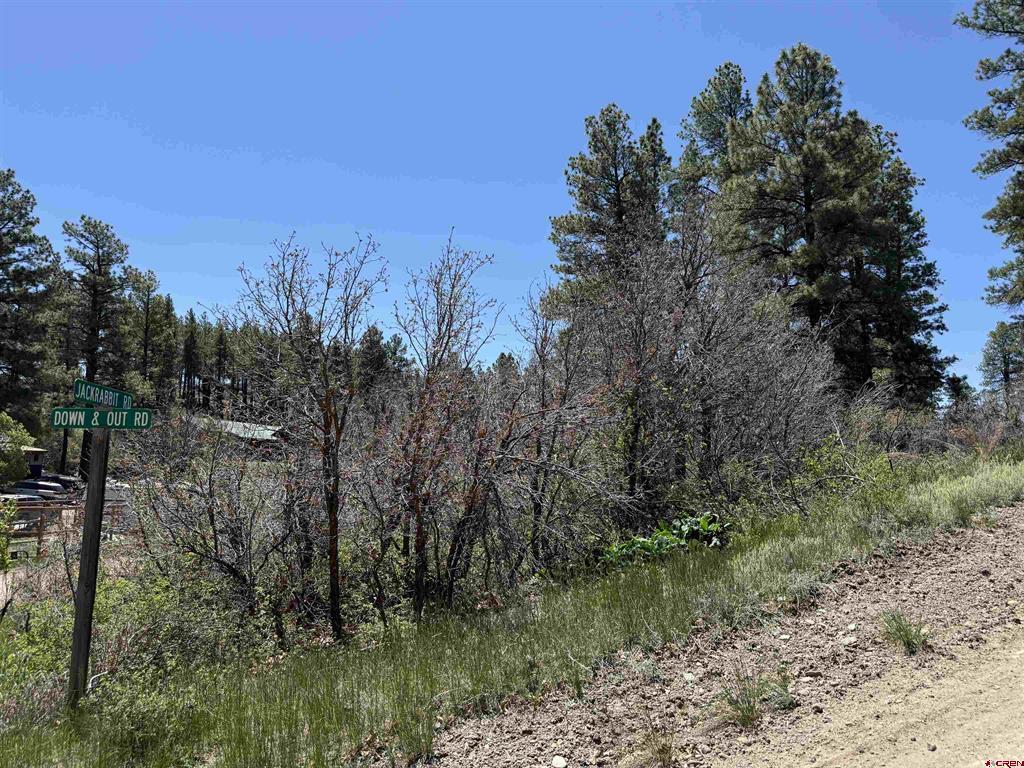 512 & 564 Jack Rabbit Road