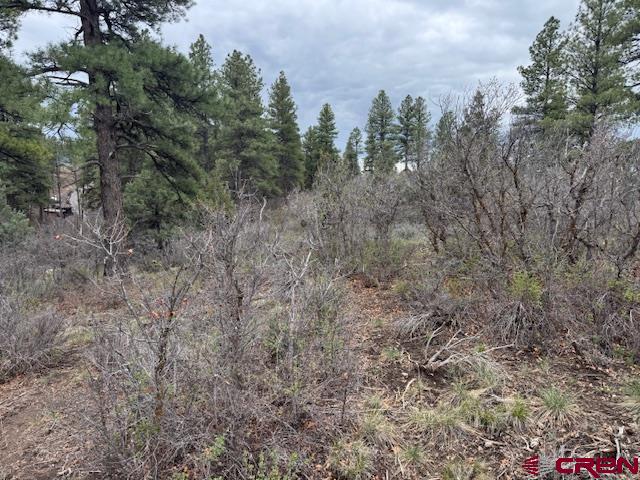 512 & 564 Jack Rabbit Road
