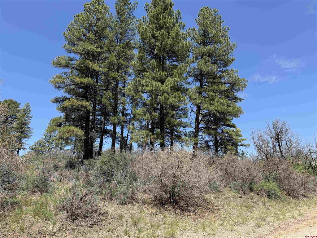 512 & 564 Jack Rabbit Road