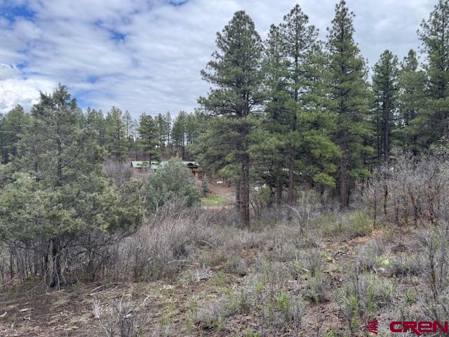 512 & 564 Jack Rabbit Road