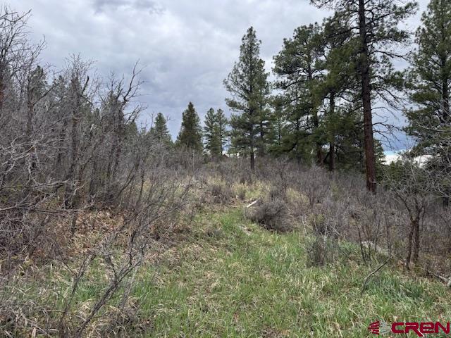 512 & 564 Jack Rabbit Road
