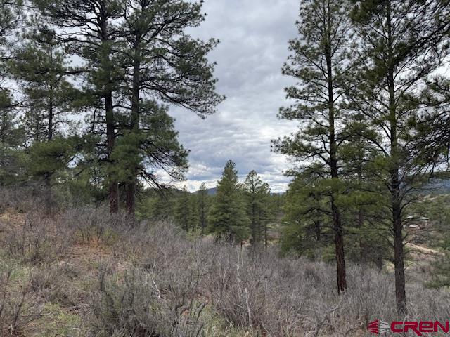 512 & 564 Jack Rabbit Road