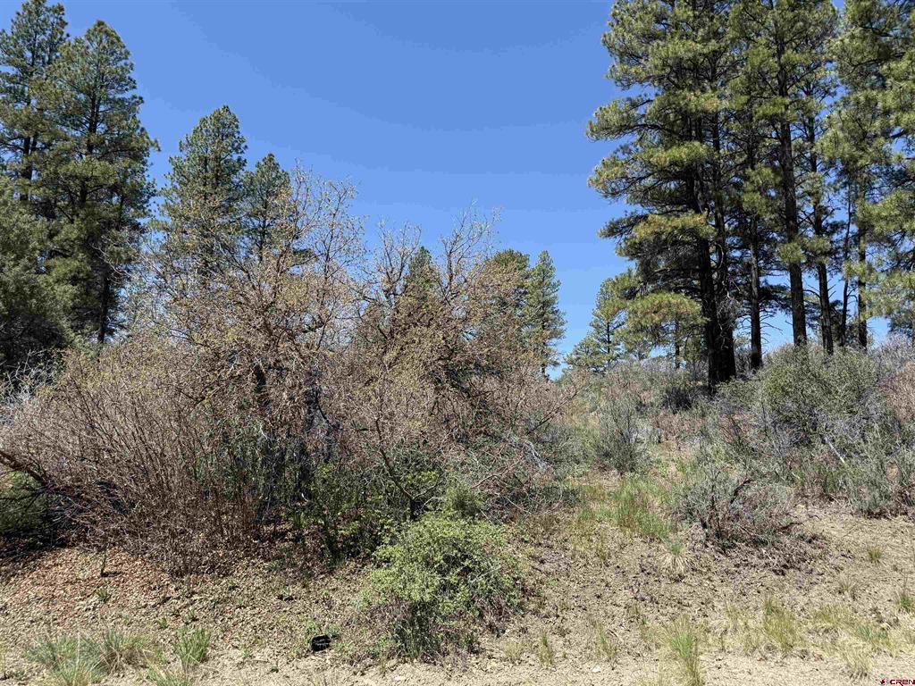 512 & 564 Jack Rabbit Road