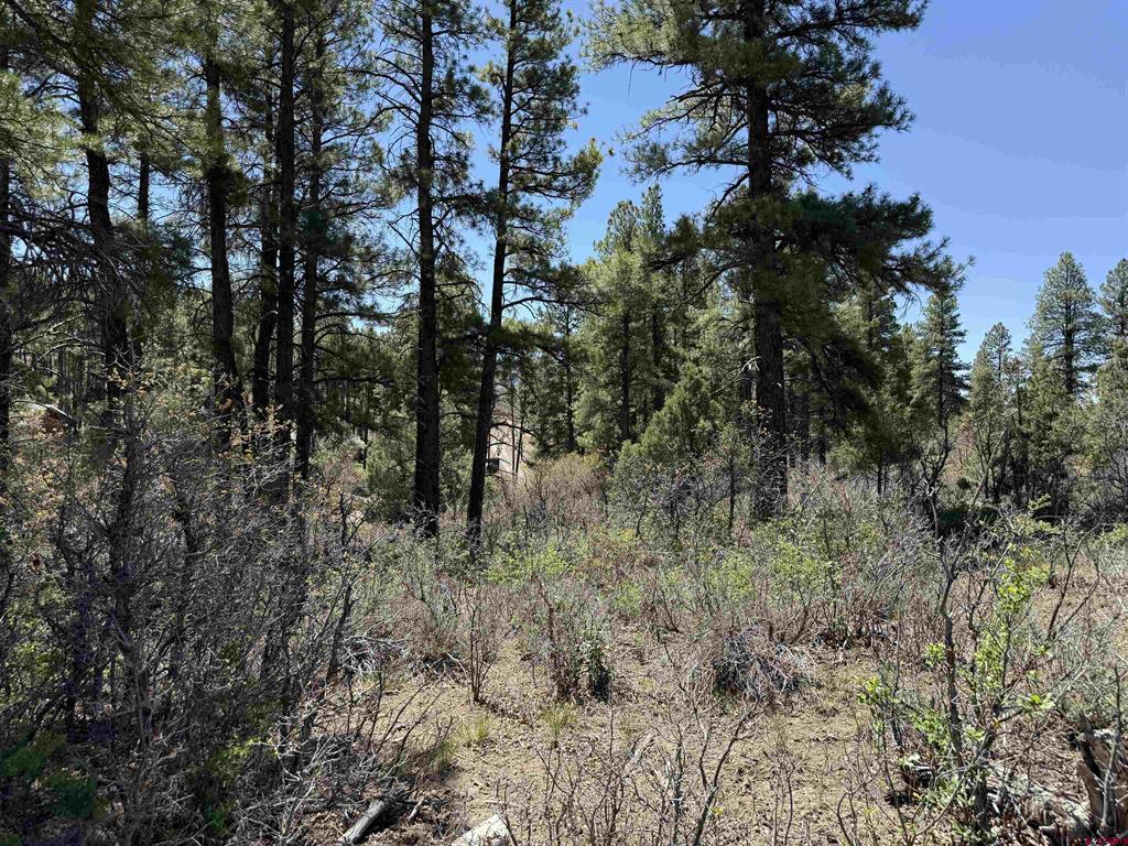 512 & 564 Jack Rabbit Road