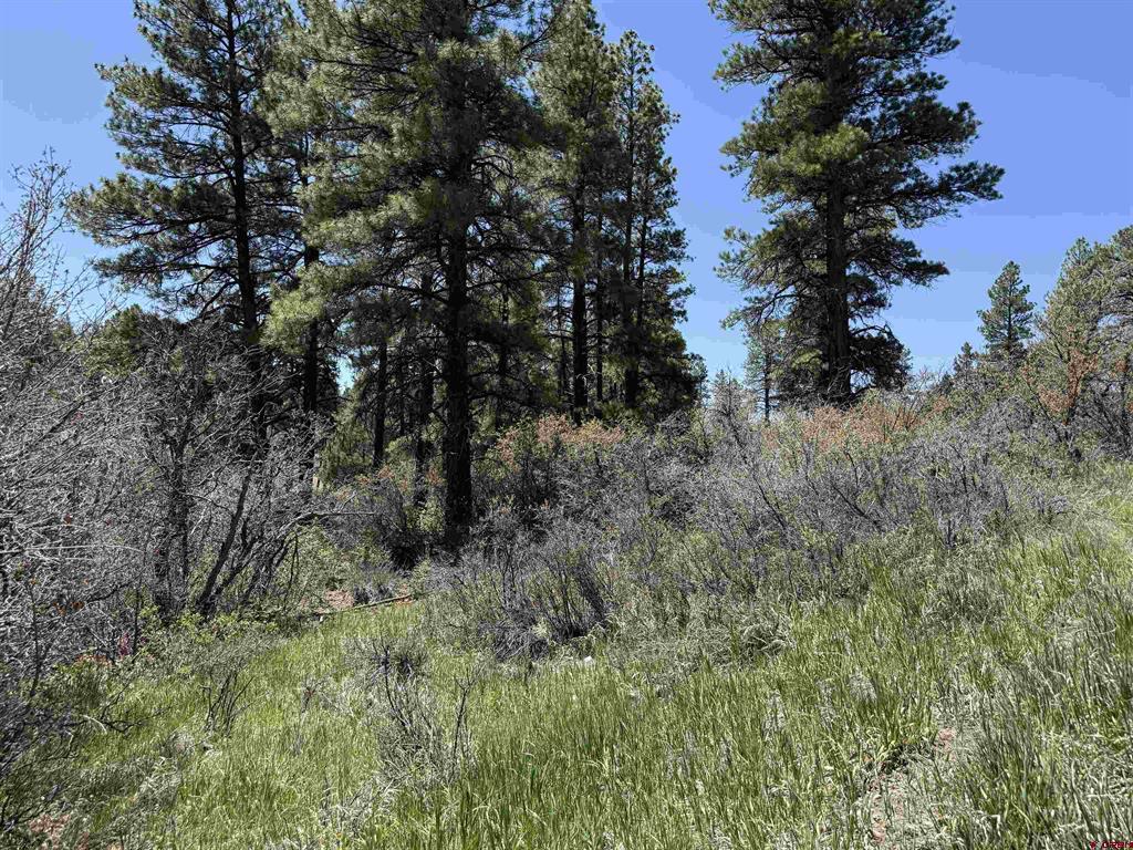 512 & 564 Jack Rabbit Road