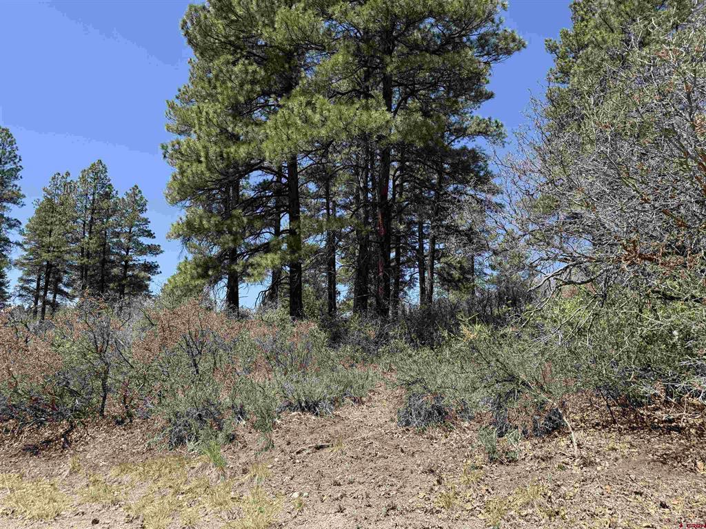 512 & 564 Jack Rabbit Road
