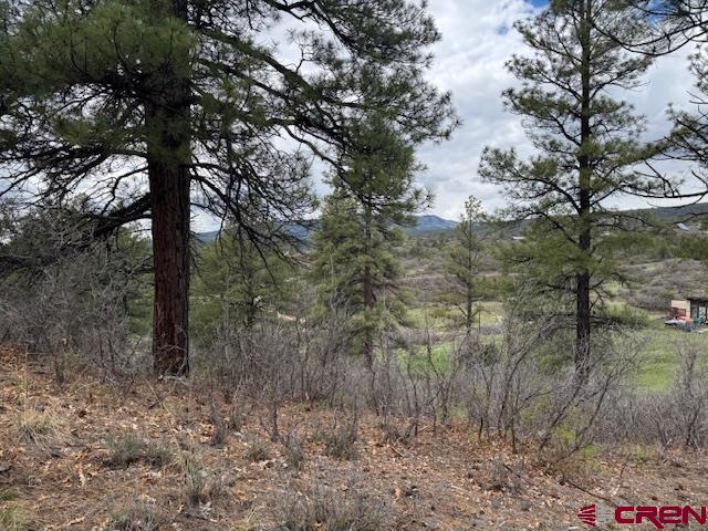 512 & 564 Jack Rabbit Road