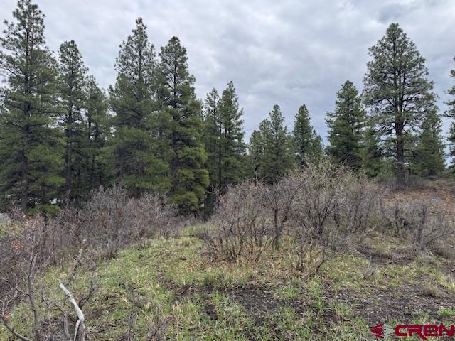 512 & 564 Jack Rabbit Road