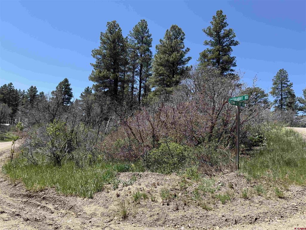 512 & 564 Jack Rabbit Road