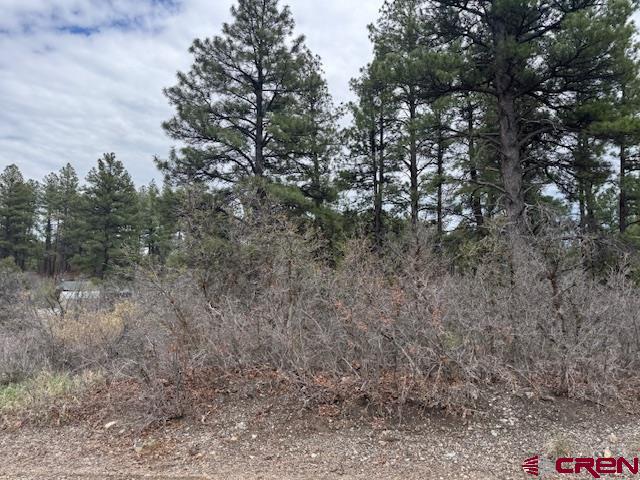 512 & 564 Jack Rabbit Road