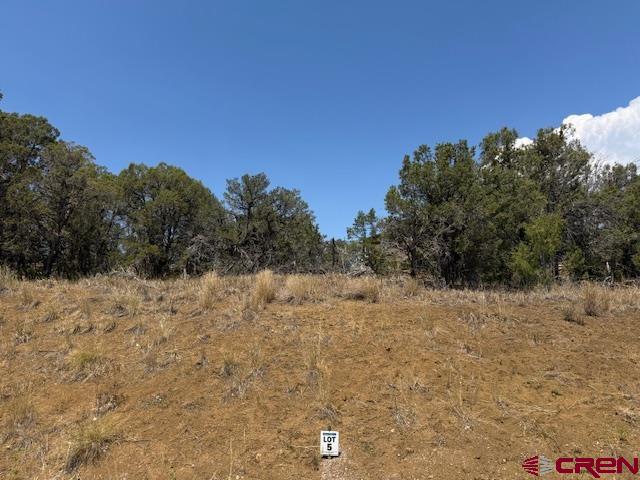 39 Salt Brush Street